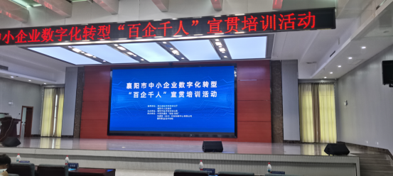 多维发力，共促发展新篇（六月篇）