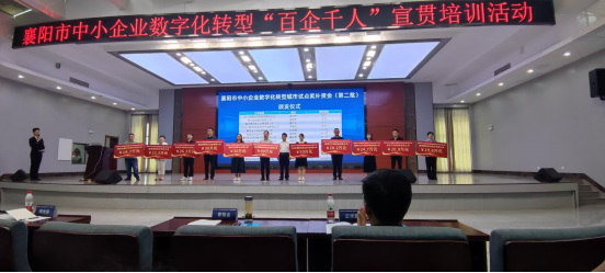 多维发力，共促发展新篇（六月篇）